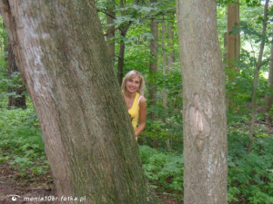 forest, plant, trunk, jungle