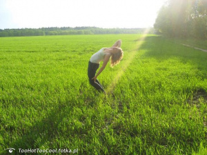 field, dog