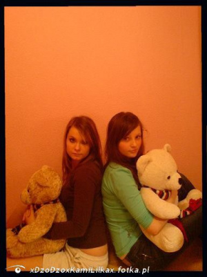 toy, stuffed-toy, plush