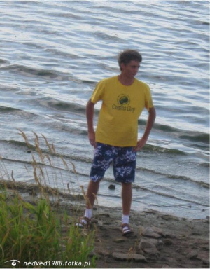 fun, leisure, vacation, standing, event, shorts, beach