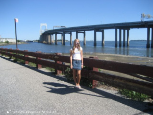 bridge