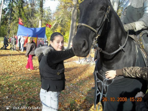 horse, bridle, rein