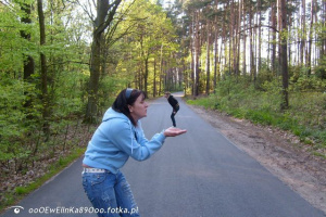 jeans, leisure, forest