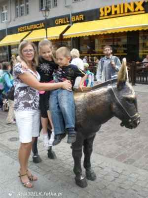 fun, jeans, horse