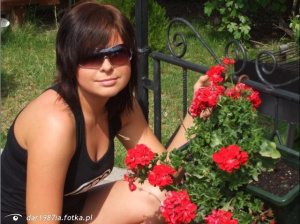 glasses, sunglasses, petal, plant, flower