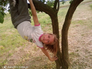 fun, smile, branch