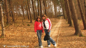 forest