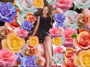 petal, plant, flower