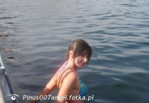 fun, leisure, vacation