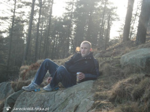 sitting, forest