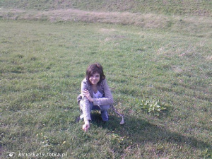 fun, prairie, sitting