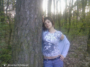 textile, jeans, denim, forest, trunk