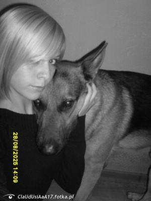 monochrome, dog, pet