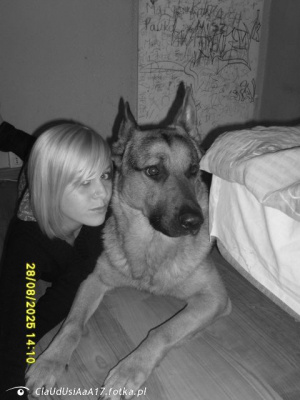 dog, pet