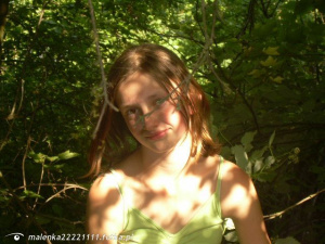 forest, jungle
