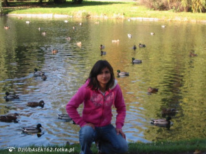 jeans, sitting, leisure, bird, duck, lake