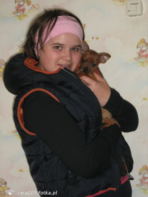 dog