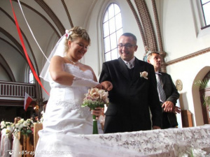 person, dress, event, plant, flower, gown, veil, bride, groom, marriage