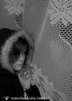 monochrome, cat