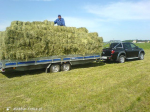 vehicle, car