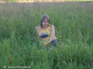 field, prairie, plant