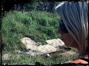 rock