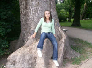 textile, jeans, denim, sitting, leisure, trunk