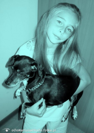 cool, dog