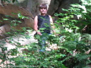 jungle