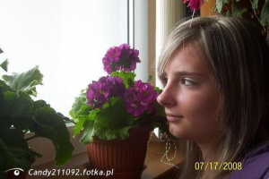 hair, petal, plant, flower