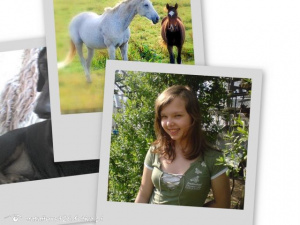 smile, horse