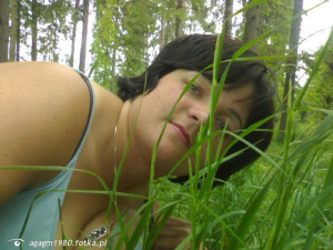 jungle