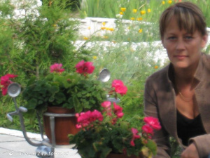 petal, plant, flower