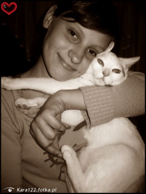hand, cat