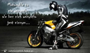 vehicle, motorcycle