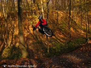 forest, vehicle, sports, bicycle, motorcycle, soil