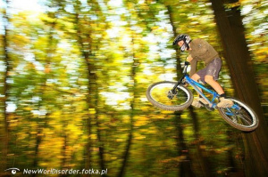 forest, vehicle, sports, bicycle, cycling