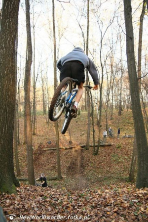 forest, vehicle, sports, bicycle, cycling, soil