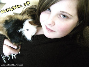 ear, dog, cat, pet