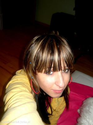 hair, fun, dog, bangs