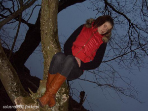 branch