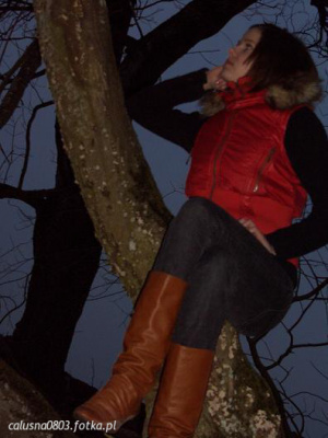 branch