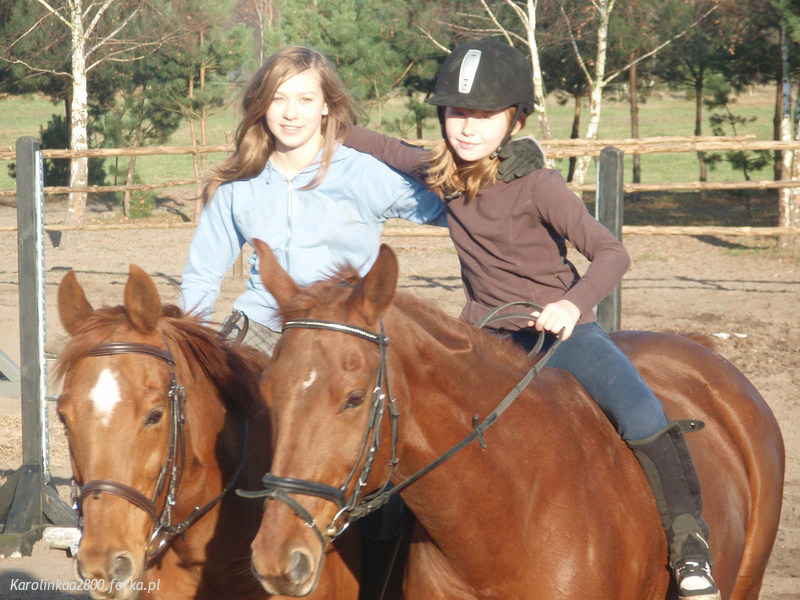 hair, horse, bridle, rein, sports, helmet