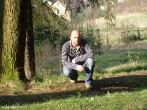 sitting, forest