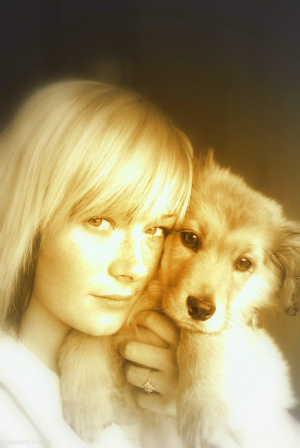 skin, dog, pet