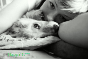 dog, pet