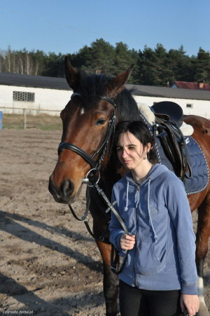 hair, jeans, horse, bridle, rein