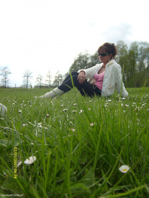 field, plant