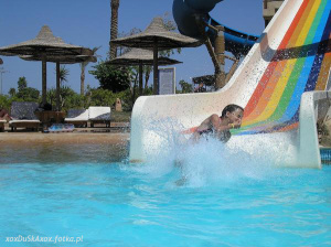 fun, leisure, vacation