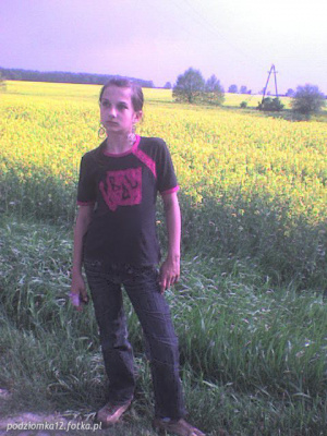 field, food, flower, vegetable